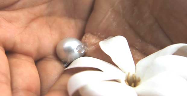 	Hand Pearl Flower(web).jpg	